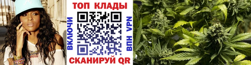 Магазины продажи наркотиков Пущино Cocaine Галлюциногенные грибы omg как войти Гашиш Канабис СОЛЬ Меф