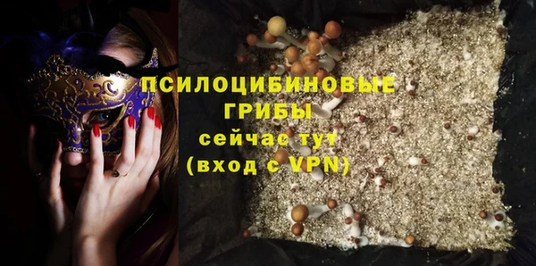 дурь Дмитриев