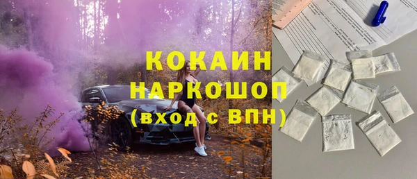 дурь Дмитриев