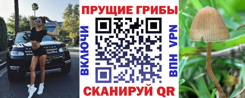 Галлюциногенные грибы прущие грибы  Пущино 